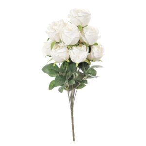BUSH ROSE CAROLINE X12 CM49 BIANCO