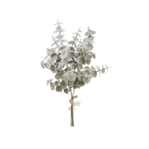 BUNDLE EUCALIPTUS INNEVATO X3  VERDE CM35