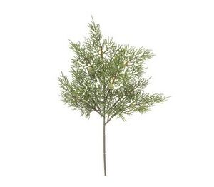 RAMO CIPRESSO VERDE CM40