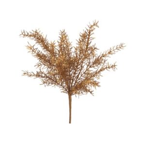 BUSH ASPARAGUS CM47 ORO