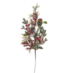 RAMO PINO BACCHE EUCALIPTUSCM85 VERDE/ORO/ROSSO