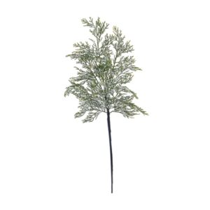 RAMO TUJA ORIENTALE GHIACCIATO CM75 VERDE