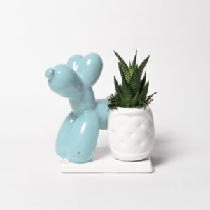Pianta grassa in vasetto Dog Palloncino su base tiffany