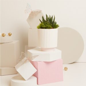 VASETTO CON PIANTINA Ø 5.5 CM E MUSCHIO BASE ROSA