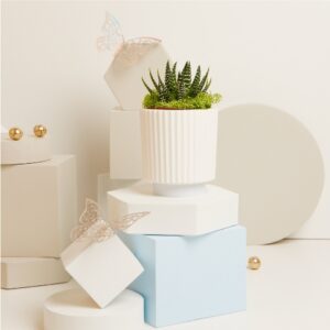 VASETTO CON PIANTINA Ø 5.5 CM E MUSCHIO BASE AZZURRA