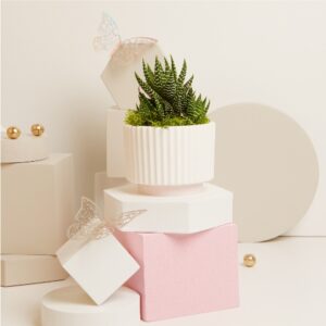 VASETTO CON PIANTINA Ø 6.5 CM E MUSCHIO BASE ROSA