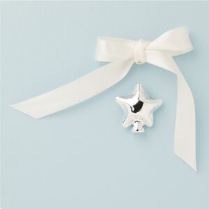 CALAMITA STELLA SILVER 3.5X3.5X1.4 CM