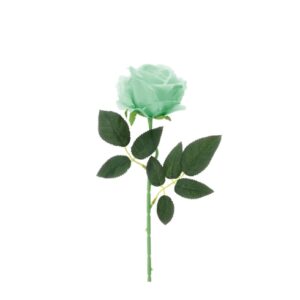 ROSA VELLUTO VERDE DIA.7X45CM***