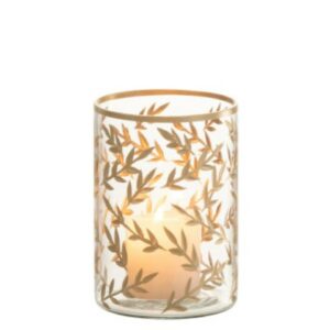 P.T-L GRANO VE ORO/TRASP S (9.5x9.5x13.5cm)