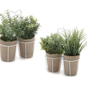 MASTELLINO C/2 PIANTE VERDID18 H23 ASS VERDE