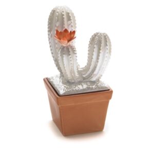 CONTENITORE CACTUS CERAMICACM11X25 PERLATO