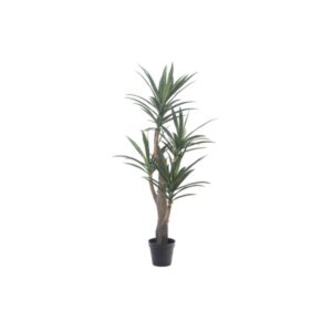 PIANTA DRACAENA CM152 VERDE