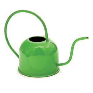 INNAFFIATOIO LATTA COLORFULCM23X32X17 VERDE