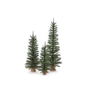 ABETI SIBILLINI H150 C/BASE JUTA VERDE