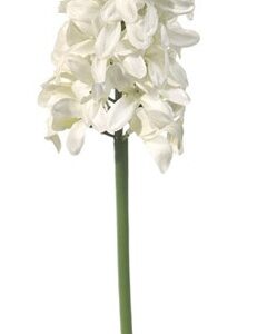 GIACINTO AMY CM33 BIANCO