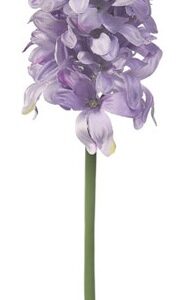 GIACINTO AMY CM33 LILLA