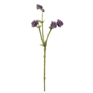 STATICE CM60 LAVANDA