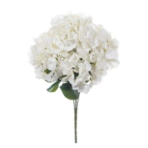 BUSH ORTENSIA AIDA X5 CM49 BIANCO