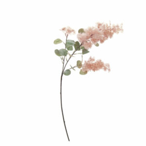 RAMO COTINUS CM89 ROSA