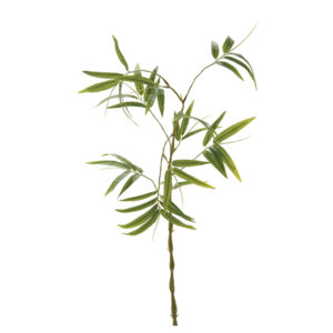 RAMO BAMBOO CM110 VERDE