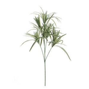 RAMO CHLOROPHYTUM X6 CM80 VARIEGATO