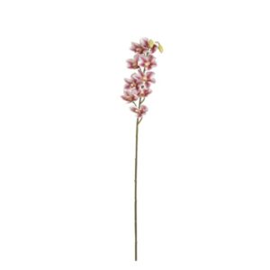 CYMBIDIUM FELIX X9 CM76 ROSA
