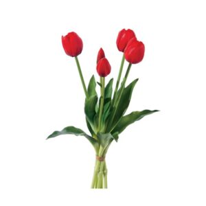 BUNDLE TULIPANI X5 CM40 REAL TOUCH ROSSO