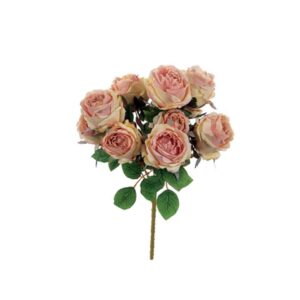 BUSH ROSE NANCY X10 CM50 ROSA