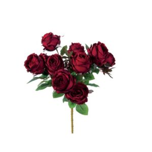 BUSH ROSE NANCY X10 CM50 ROSSO