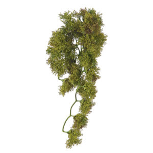 GRAPPOLO MUSCHIO NORDICO CM38 VERDE