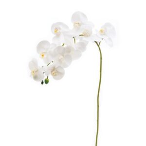 PHALAENOPSIS X9 REAL TOUCH CM90 BIANCO